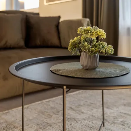 Town Apartment Vilnius